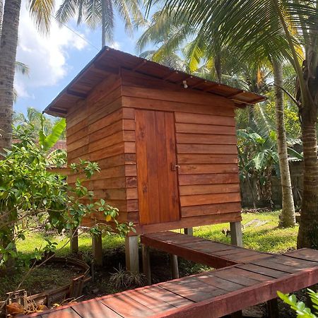 Coco Cabins By Thush Bentota Buitenkant foto