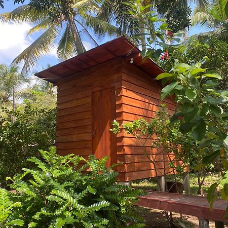 Coco Cabins By Thush Bentota Buitenkant foto