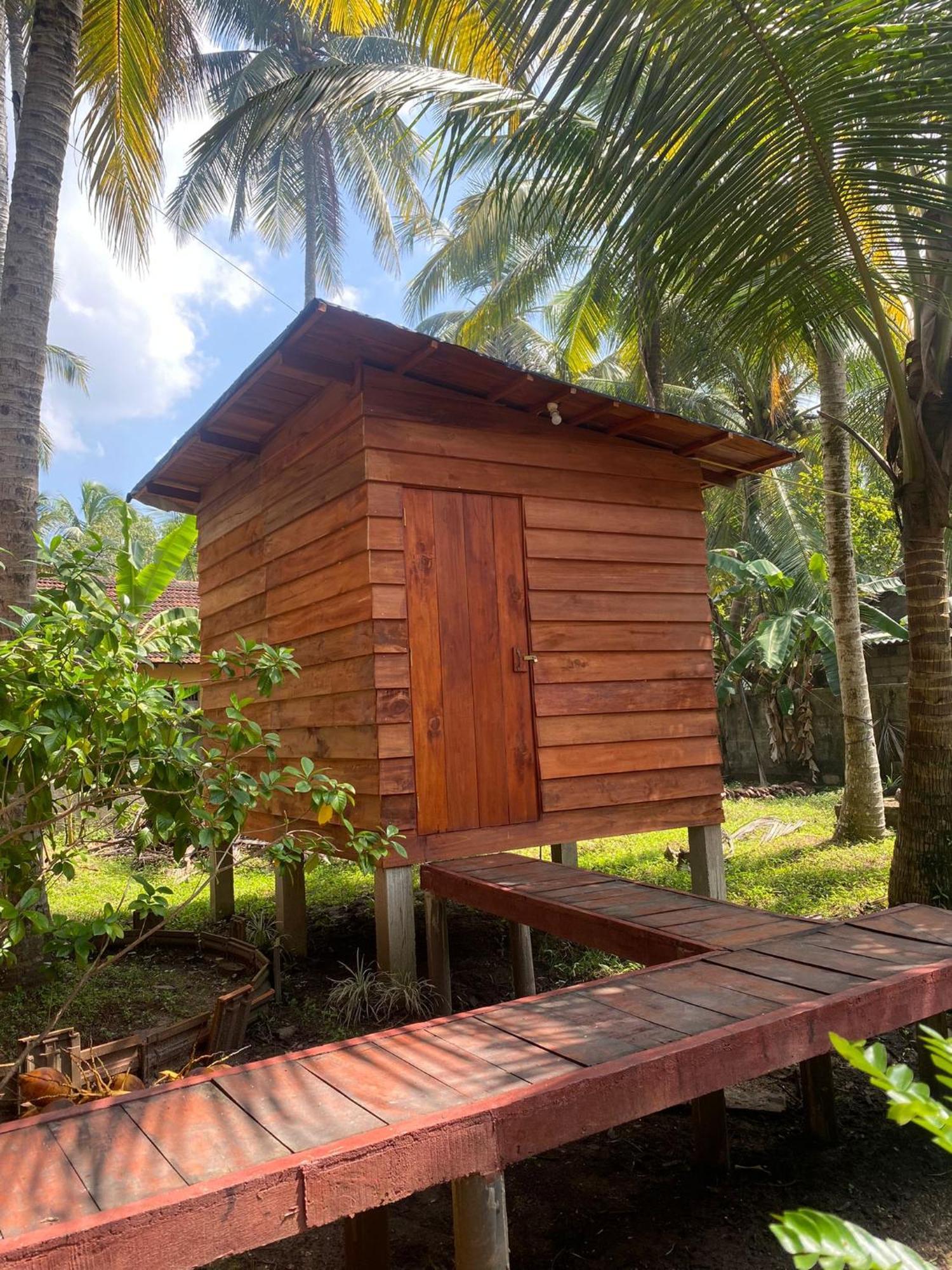 Coco Cabins By Thush Bentota Buitenkant foto