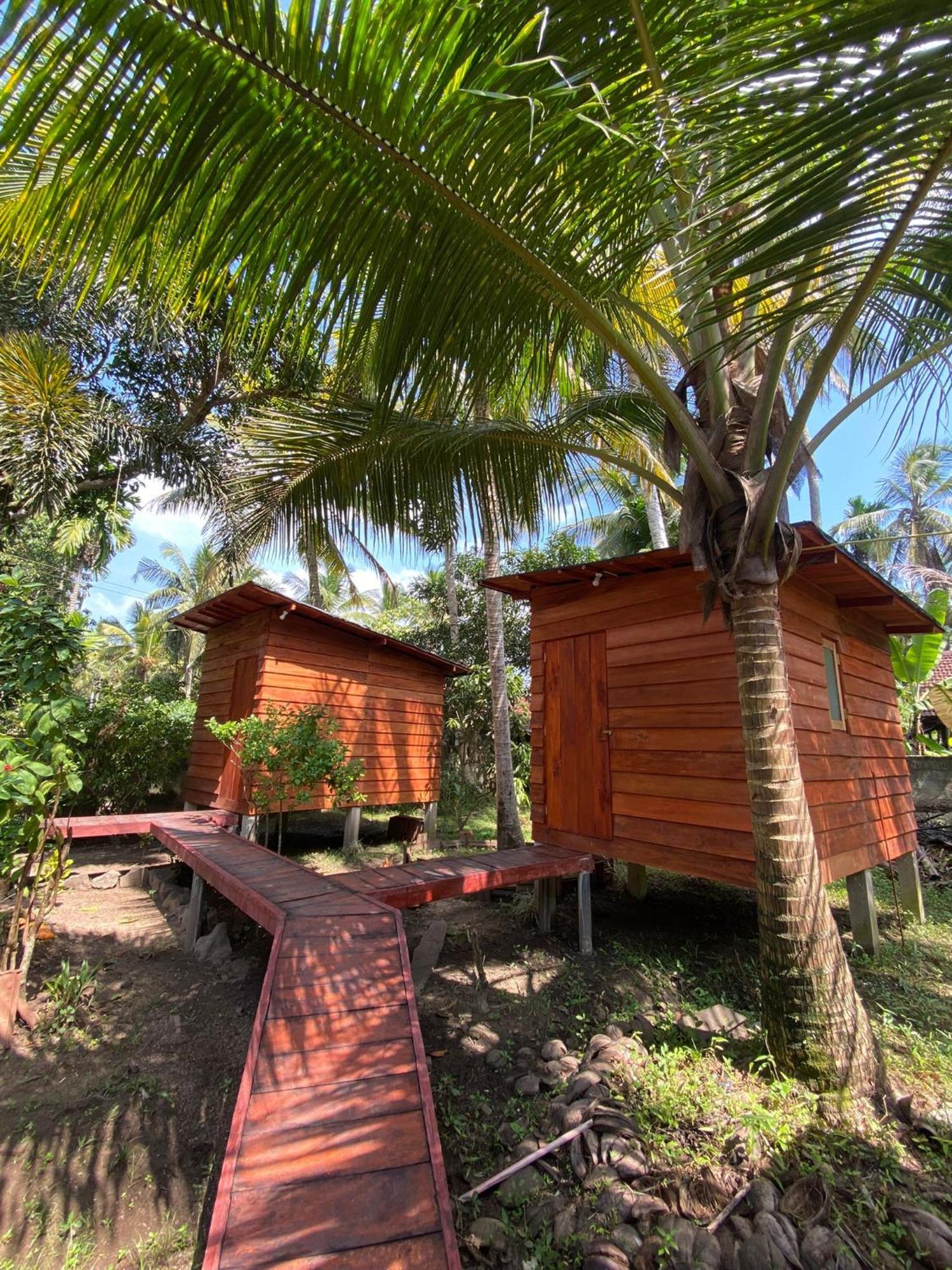Coco Cabins By Thush Bentota Buitenkant foto